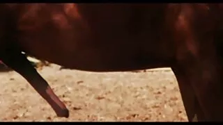 Би пикап сонсож, хүйтэн орондоо түүнд өөрийгөө өгч эхэлсэн