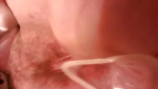 Улаан үстэй дэгдээхэйн нь асар том дагуурын өгсөн нь шарсан шоколад бор нүд